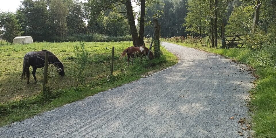 Fietspad Wommelgem Wijnegem augustus 2024 02